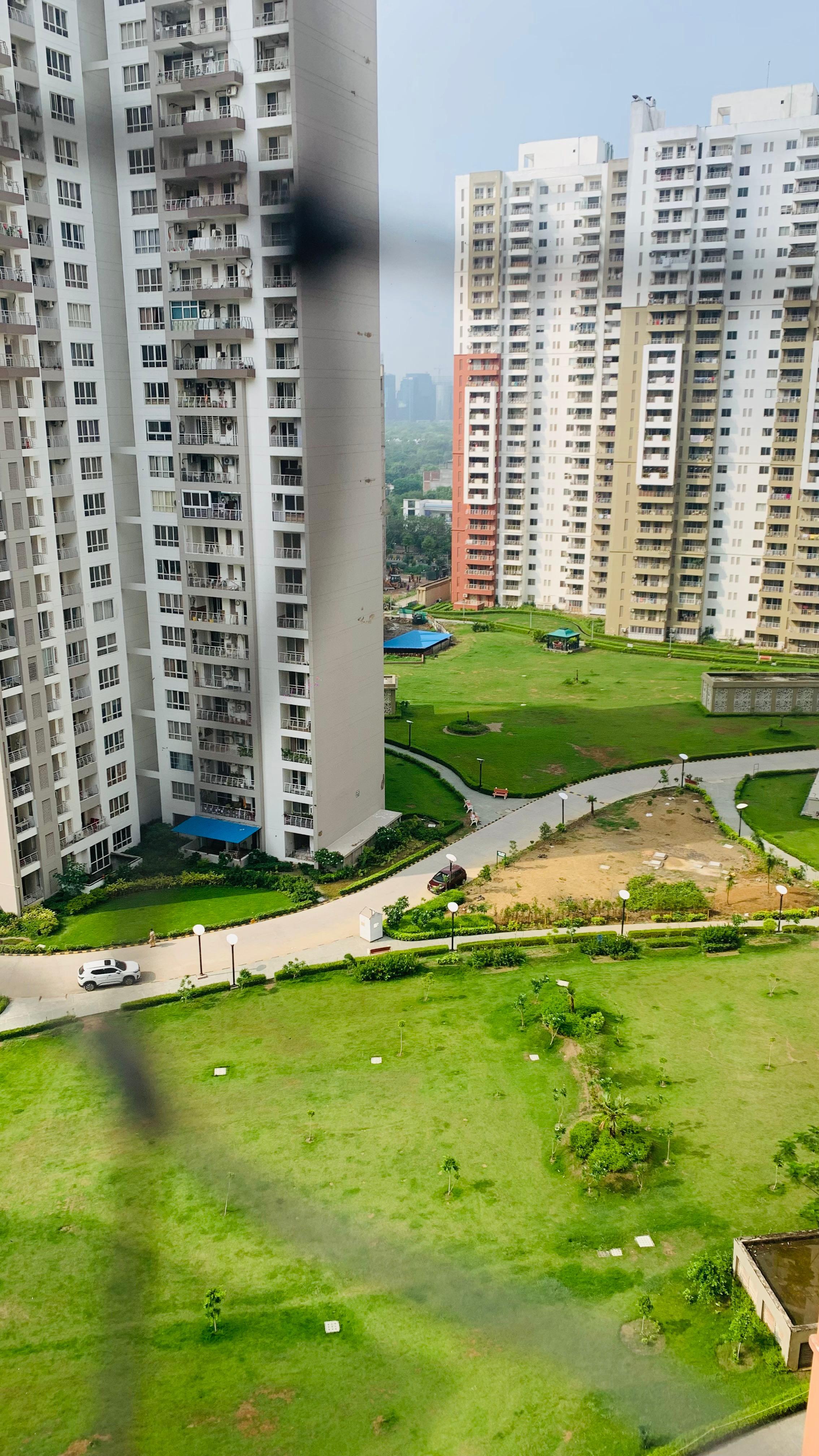 Lotus Panache review image