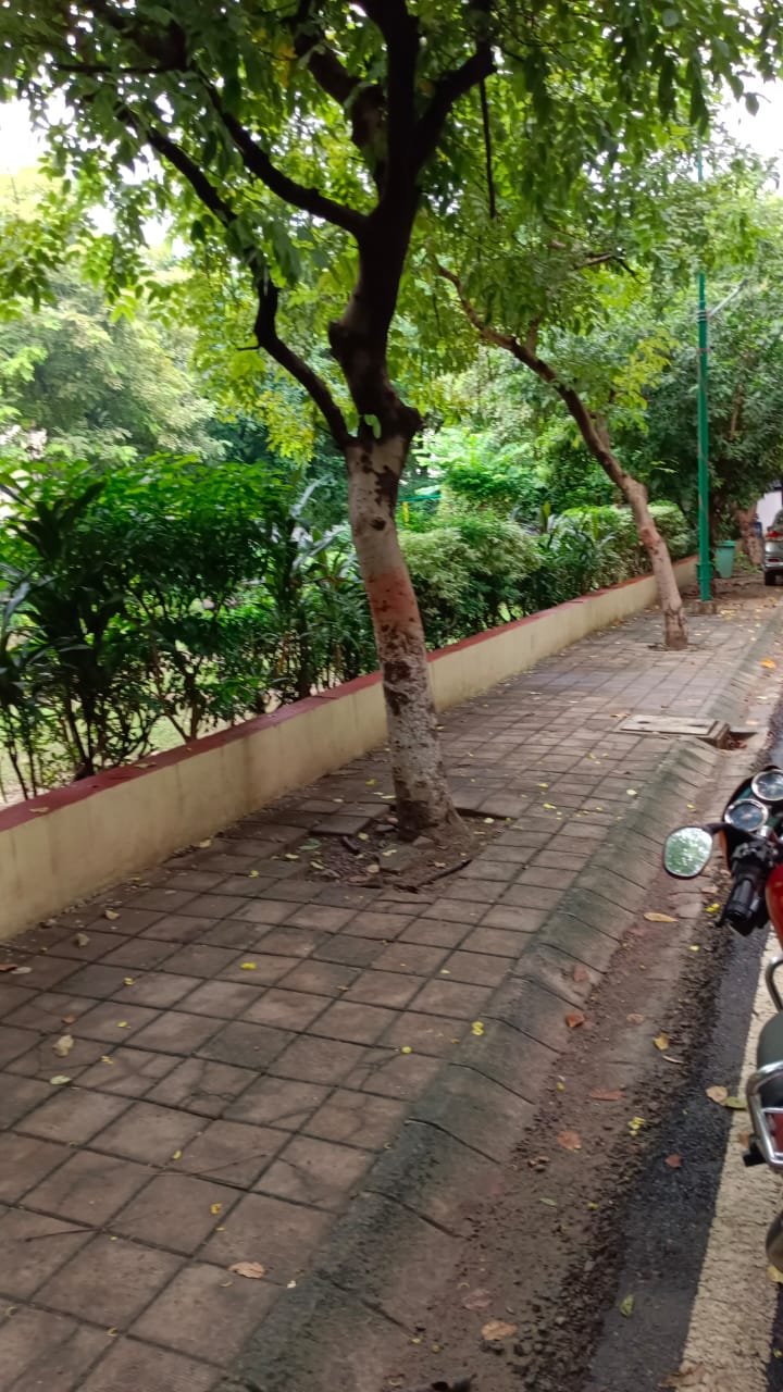 Shree Morvi Associates