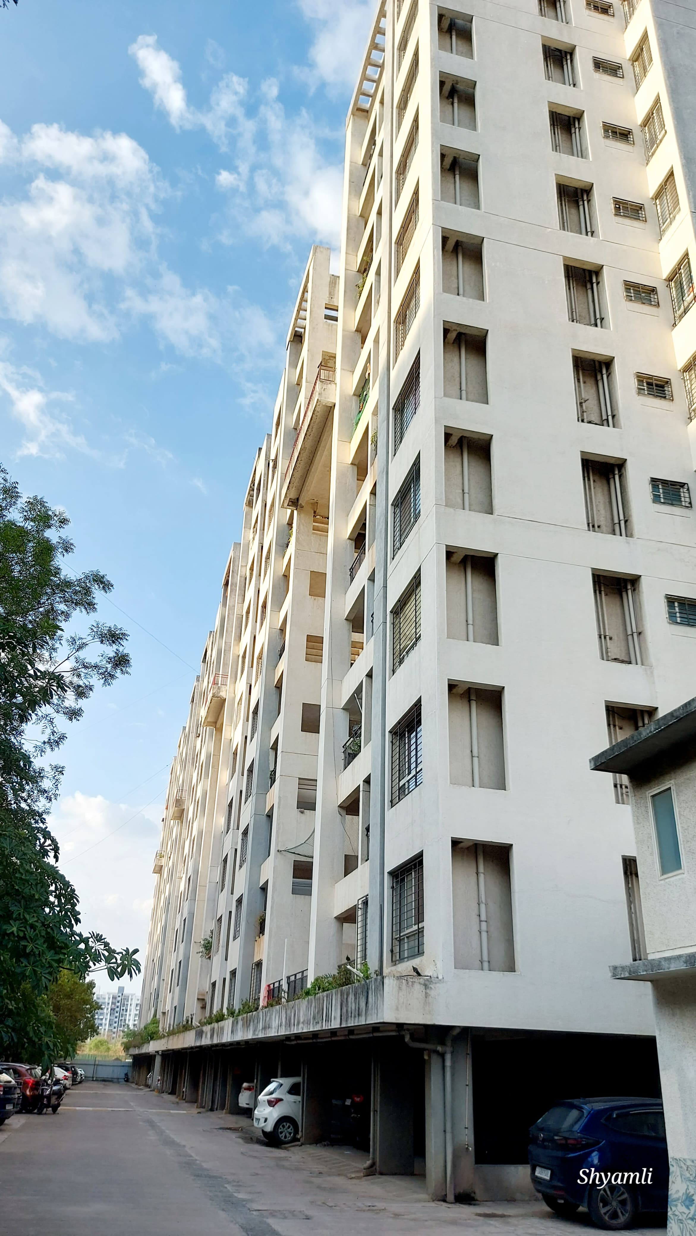 Eisha Zenith review image
