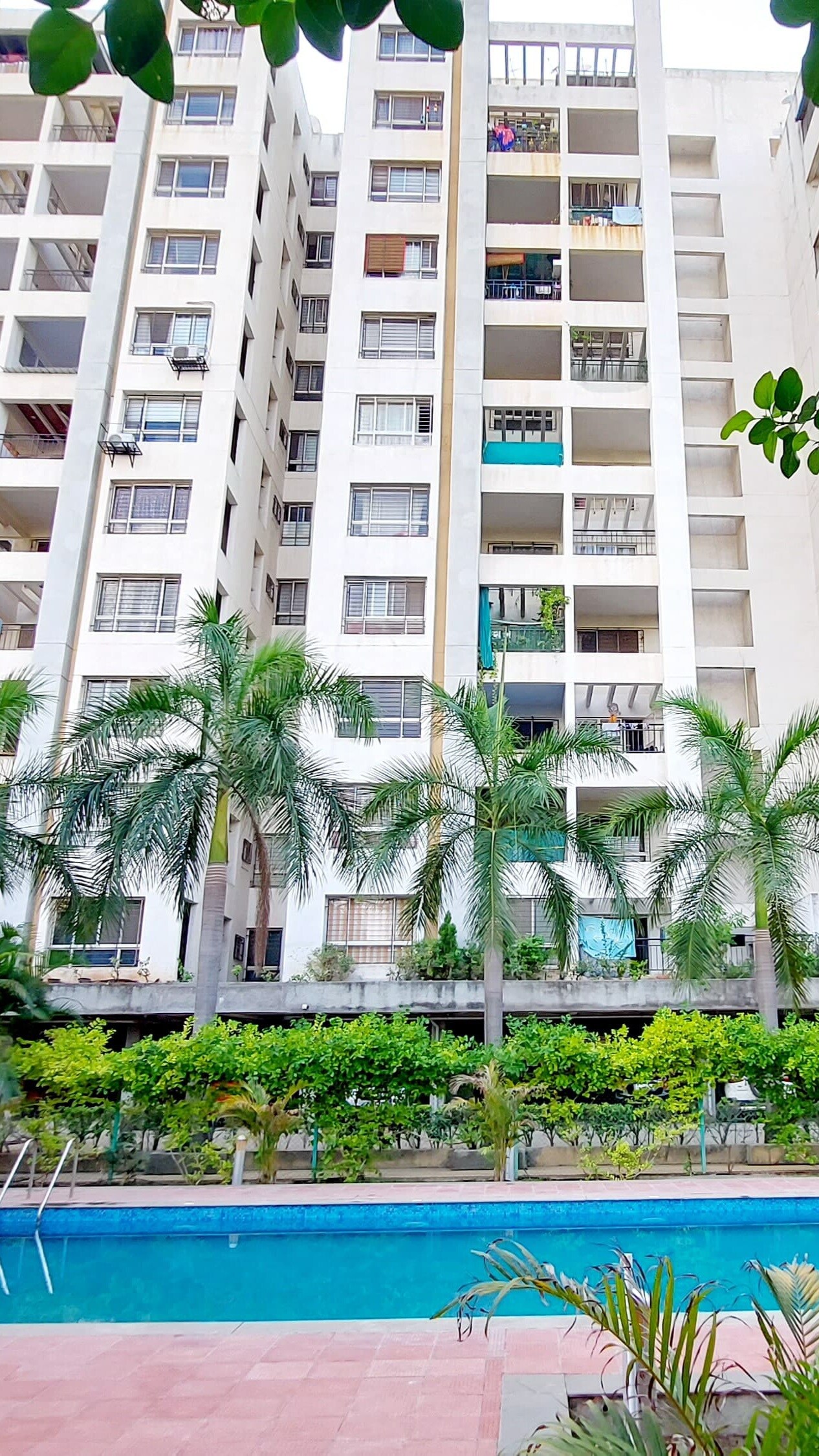 Eisha Zenith review image