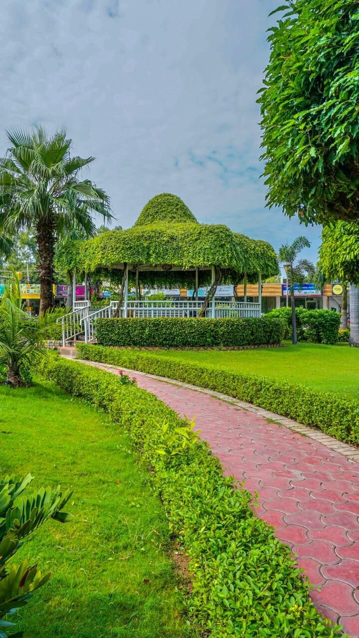 Trishla City review image