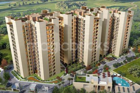 Sushma Grande Nxt review image