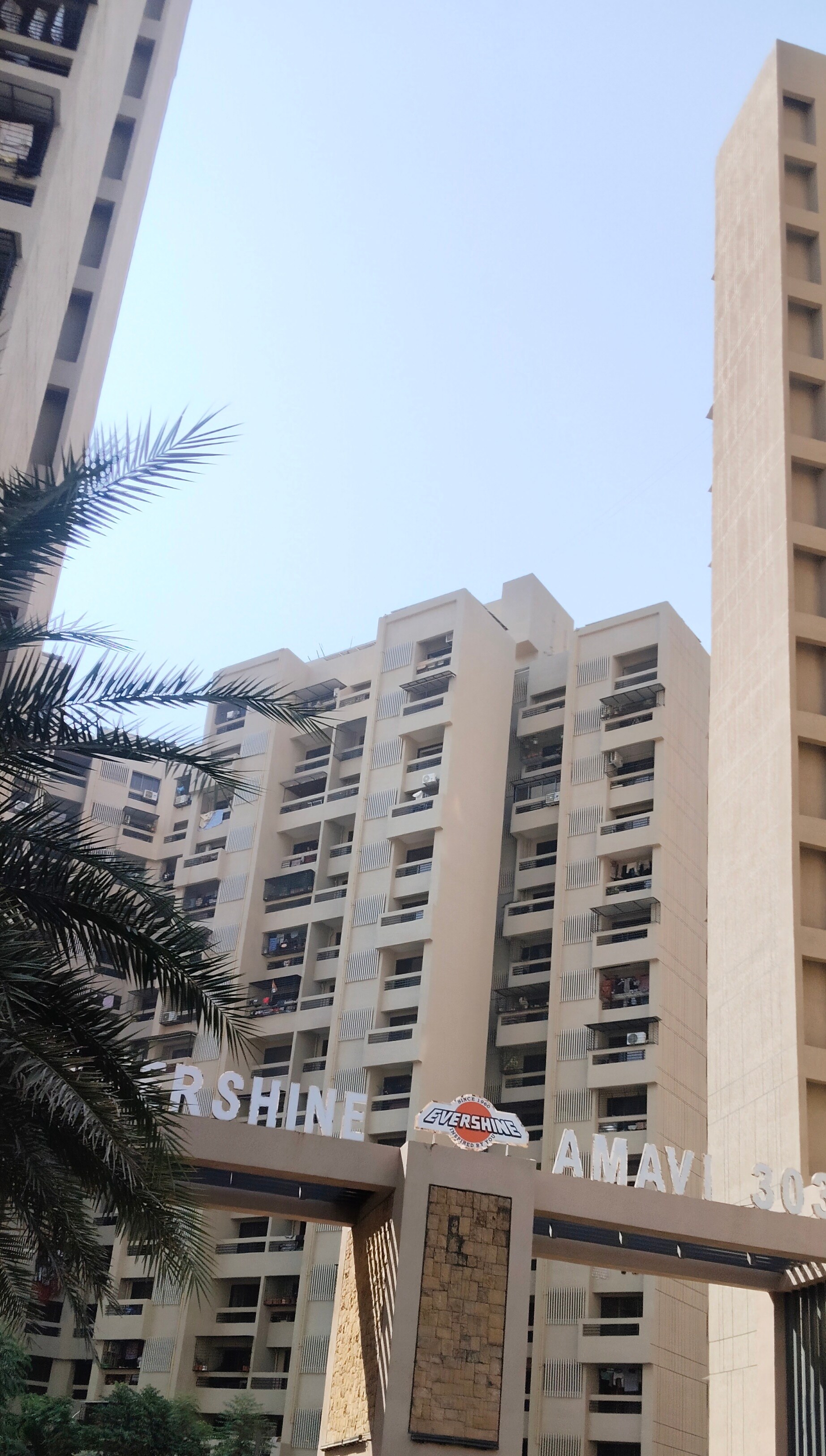 Property Dealer